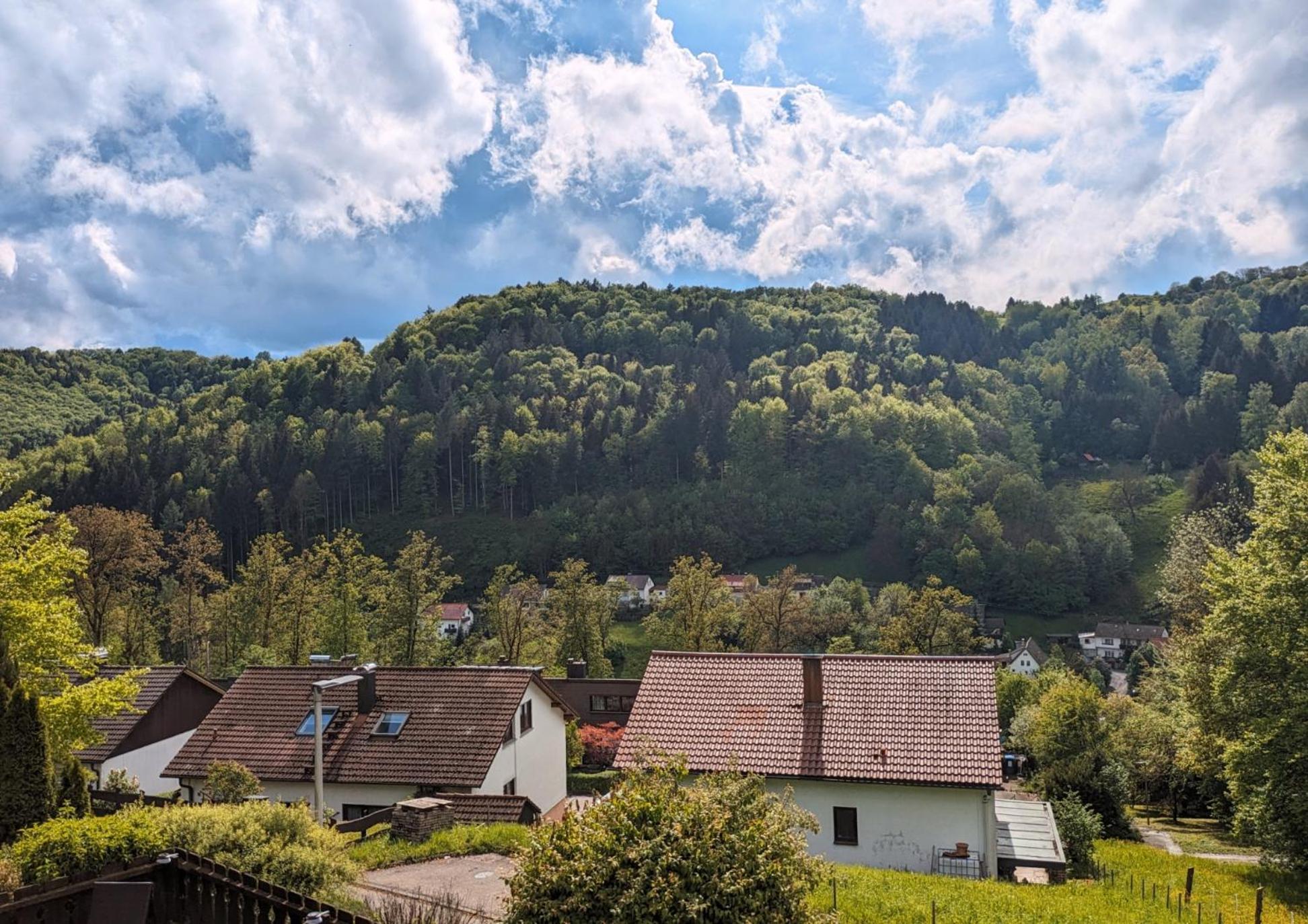 4 Zimmer Geraeumige Und Ruhig Gelegene Ferien- Und Monteurwohnung Nur Fuer Sie Allein Aujvari Vermietungen Spiegelberg Zewnętrze zdjęcie